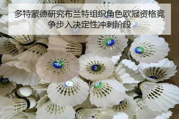 多特蒙德研究布兰特组织角色欧冠资格竞争步入决定性冲刺阶段